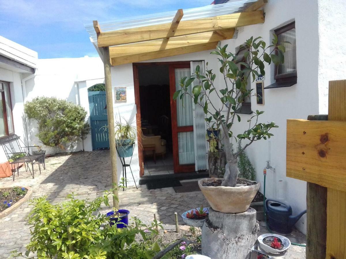 Appartement Albatross à Hermanus Extérieur photo