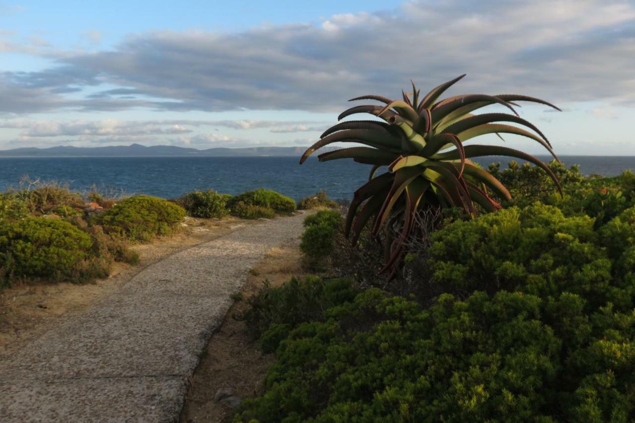Appartement Albatross à Hermanus Extérieur photo